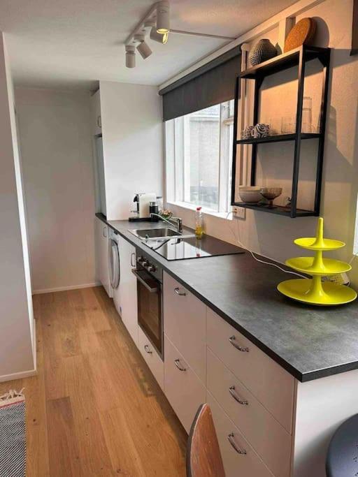Studio Apartment Reykjavik City Center Eksteriør bilde