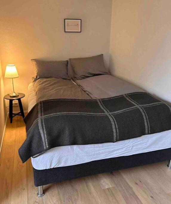 Studio Apartment Reykjavik City Center Eksteriør bilde