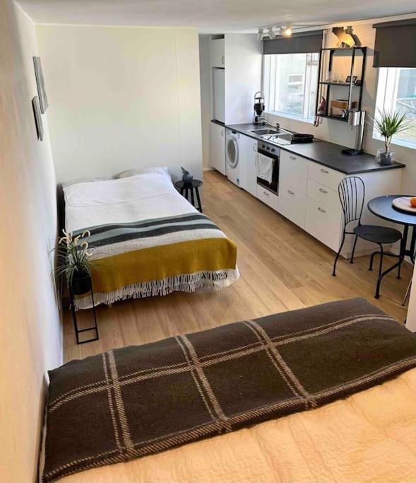 Studio Apartment Reykjavik City Center Eksteriør bilde