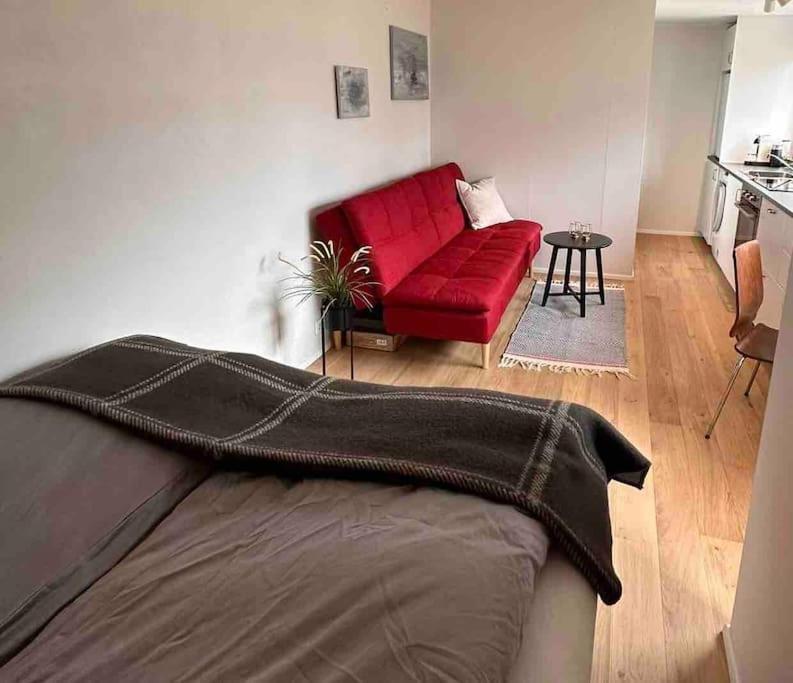 Studio Apartment Reykjavik City Center Eksteriør bilde
