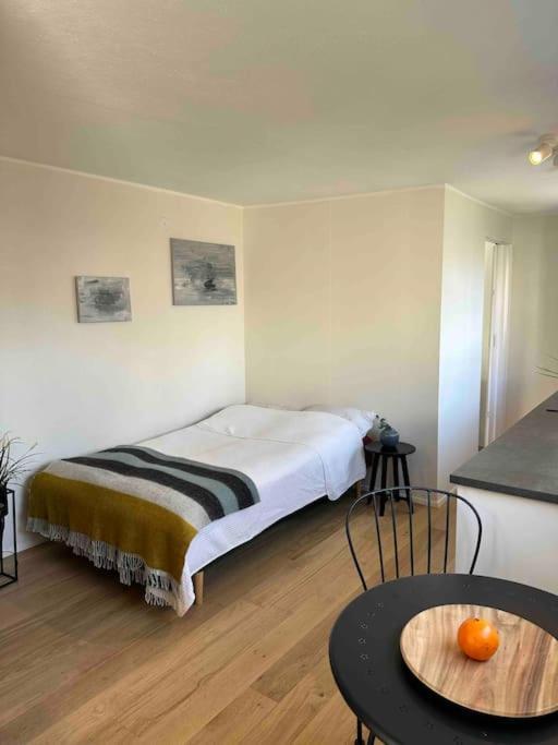 Studio Apartment Reykjavik City Center Eksteriør bilde