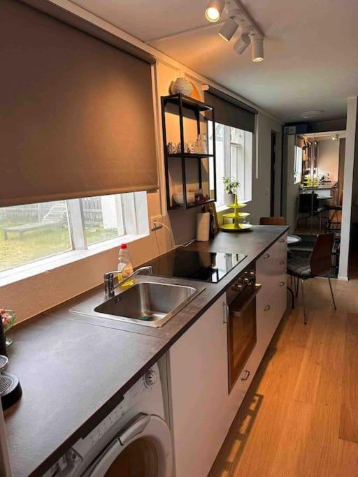 Studio Apartment Reykjavik City Center Eksteriør bilde