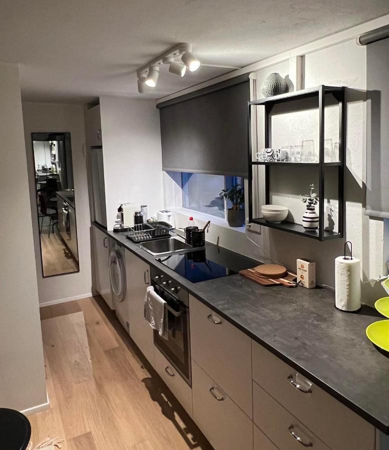 Studio Apartment Reykjavik City Center Eksteriør bilde